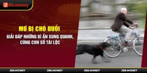 Mơ Bị Chó Đuổi Giải Đáp Những Bí Ẩn Xung Quanh, Cùng Con Số Tài Lộc